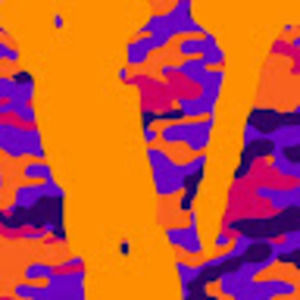 Meet your Posher, Stanley